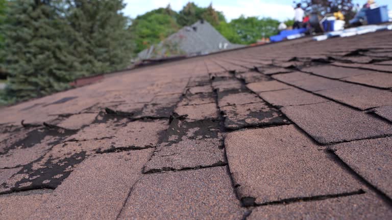 Roof Moss and Algae Removal in Glendale, OH